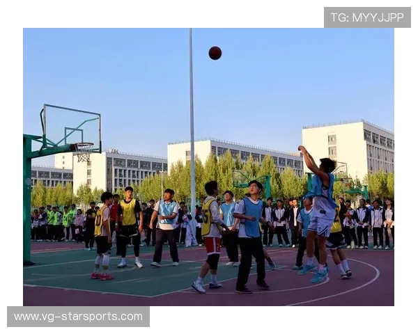 篮球学院推动青少年赛事直播与数据展示平台，篮球技术学院